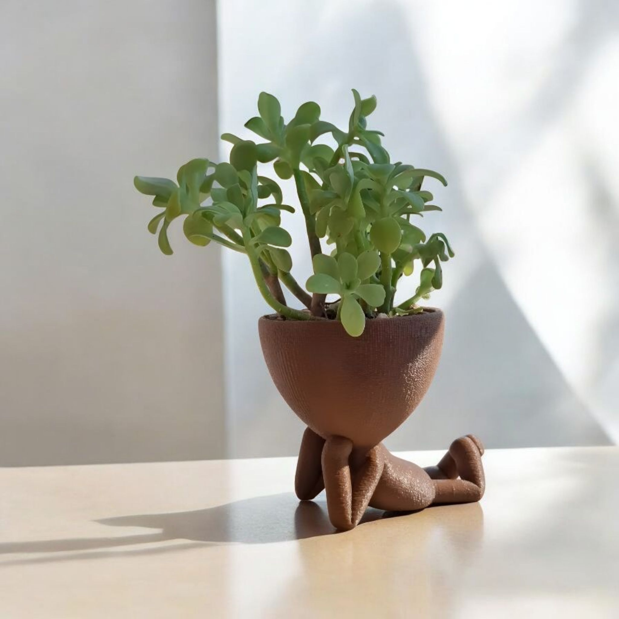 Picsart_25-08-11_15-33-13-673 (1) (1)